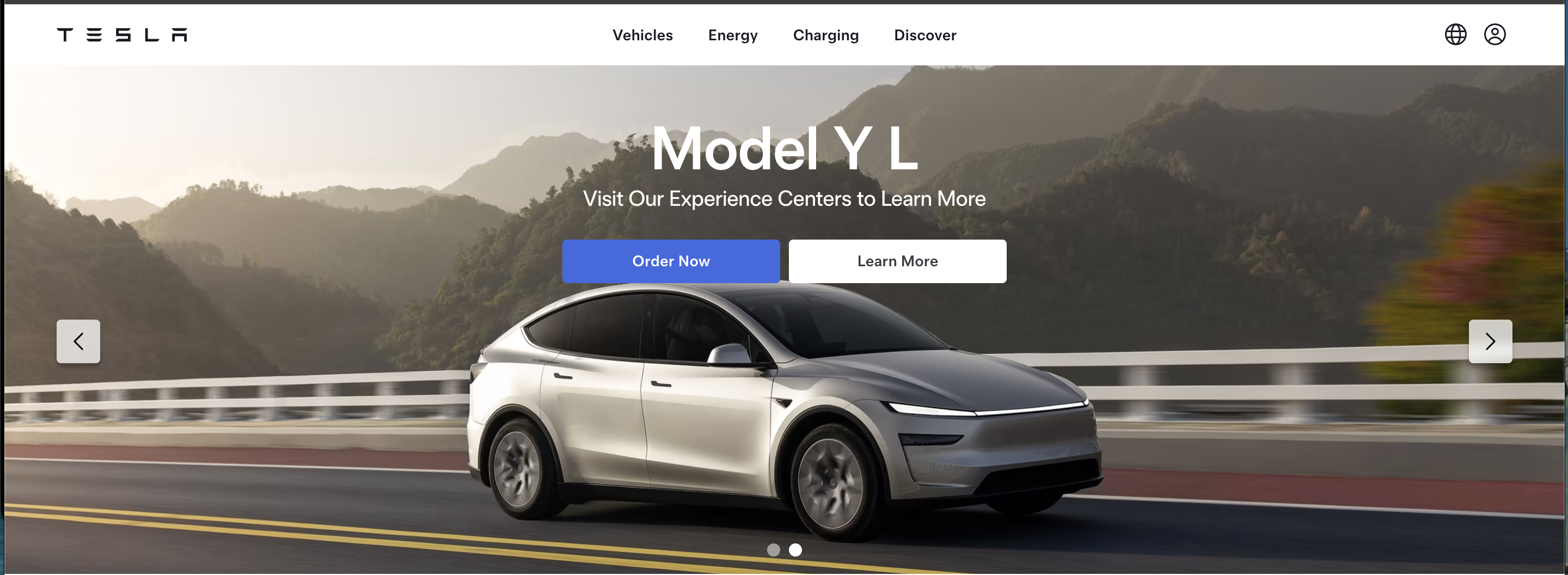 Tesla India website